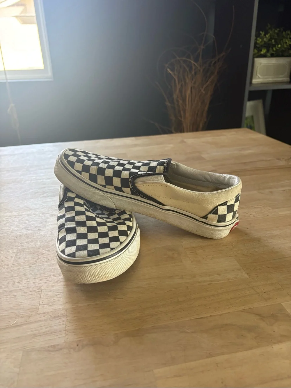 Vans slip on shoes